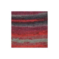Lana Mixta Happy colour 504
