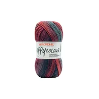 Lana Mixta Happy colour 504
