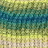 Lana Mixta Happy colour 497